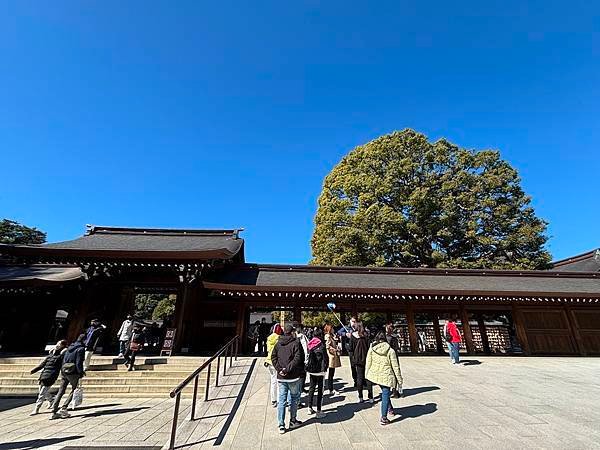 日本東京藝文之旅第五天(明治神宮)(2024.03.10)