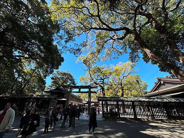 日本東京藝文之旅第五天(明治神宮)(2024.03.10)