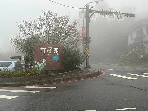 為天地寫日記(陽明山中山樓櫻花、海芋)(2024.03.18