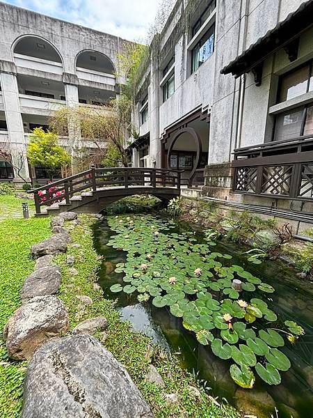 為天地寫日記(慈濟科技大學蓮花與鳥)(2024.03.22)