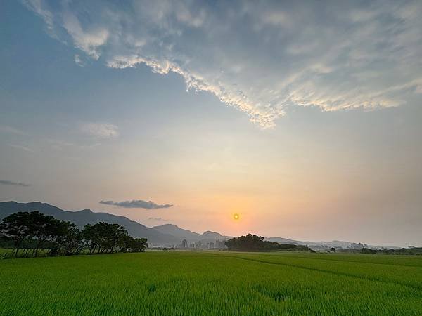 為天地寫日記(關渡平原露珠、晨曦、蜘蛛與蜻蜓、歐亞喜鵲)(2