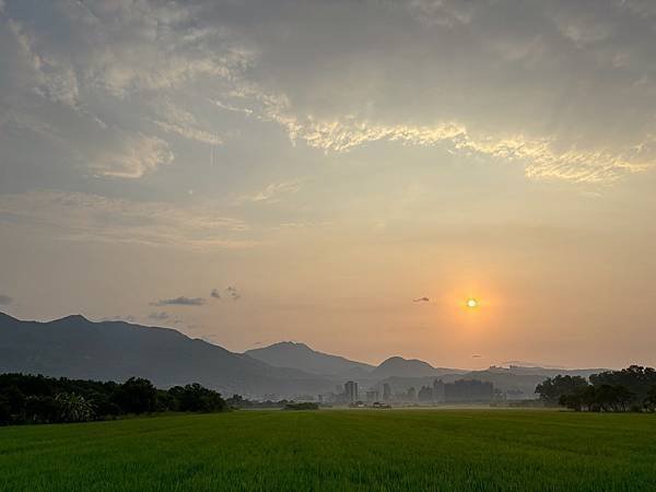 為天地寫日記(關渡平原露珠、晨曦、蜘蛛與蜻蜓、歐亞喜鵲)(2