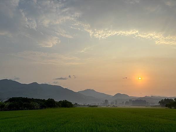 為天地寫日記(關渡平原露珠、晨曦、蜘蛛與蜻蜓、歐亞喜鵲)(2