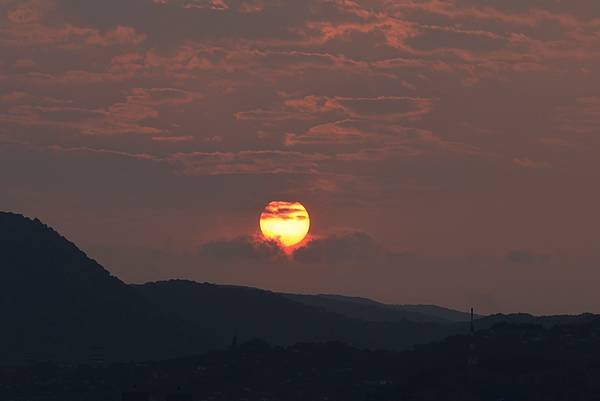 為天地寫日記(關渡平原露珠、晨曦、蜘蛛與蜻蜓、歐亞喜鵲)(2