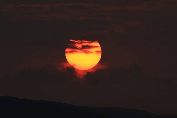 為天地寫日記(關渡平原露珠、晨曦、蜘蛛與蜻蜓、歐亞喜鵲)(2