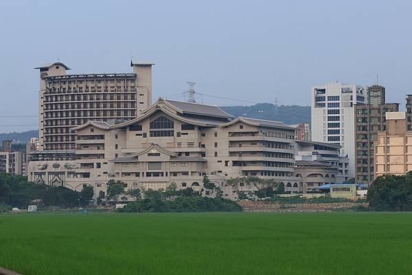 為天地寫日記(關渡平原露珠、晨曦、蜘蛛與蜻蜓、歐亞喜鵲)(2