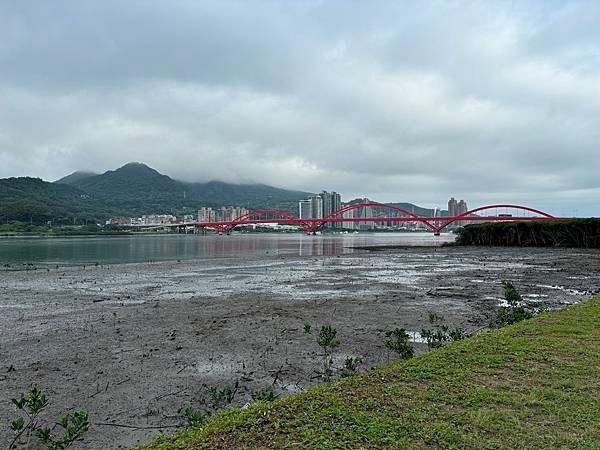 關渡橋下淡水河淨灘(2024.06.08)