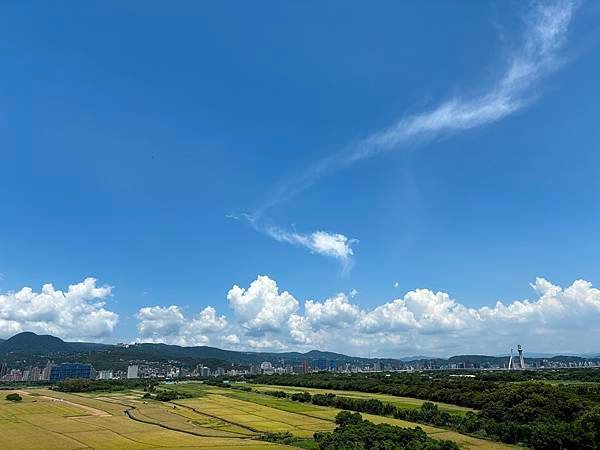 為天地寫日記(關渡平原收割、藍天白雲)(2024.07.08