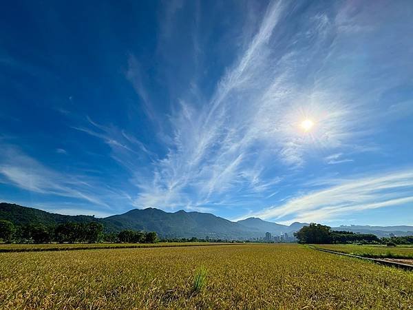 為天地寫日記(文殊蘭、宇宙大覺者、關渡靜思堂、關渡平原收割)