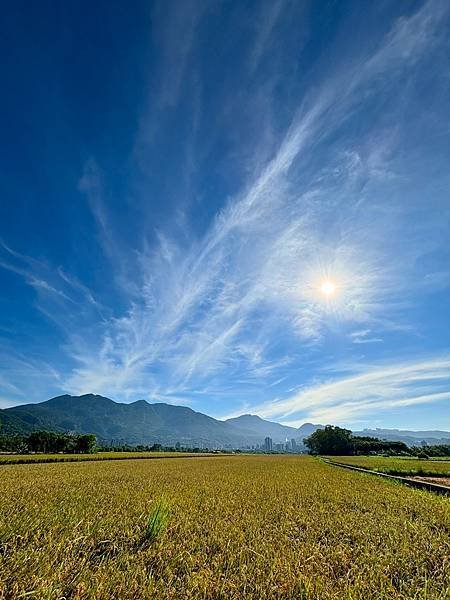 為天地寫日記(文殊蘭、宇宙大覺者、關渡靜思堂、關渡平原收割)