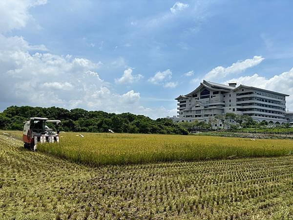 為天地寫日記(文殊蘭、宇宙大覺者、關渡靜思堂、關渡平原收割)