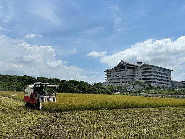 為天地寫日記(文殊蘭、宇宙大覺者、關渡靜思堂、關渡平原收割)