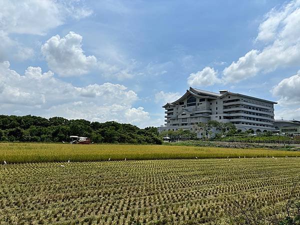 為天地寫日記(文殊蘭、宇宙大覺者、關渡靜思堂、關渡平原收割)