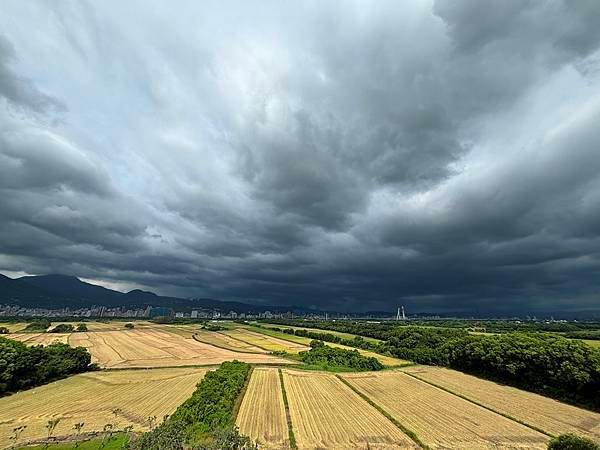 為天地寫日記(文殊蘭、宇宙大覺者、關渡靜思堂、關渡平原收割)