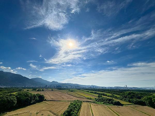 為天地寫日記(文殊蘭、宇宙大覺者、關渡靜思堂、關渡平原收割)