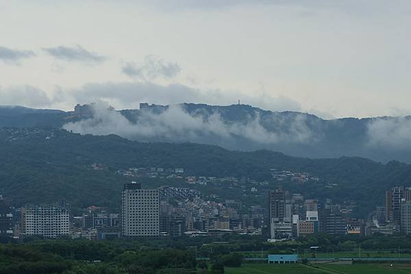 為天地寫日記(2024年四至六月)