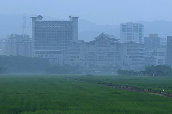 為天地寫日記(2024年四至六月)