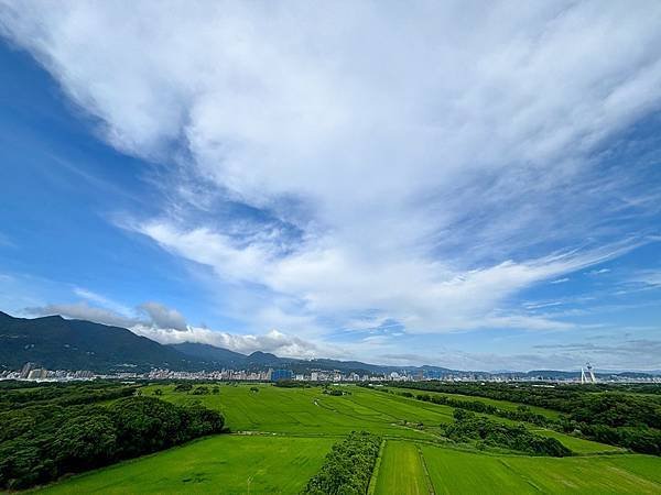 為天地寫日記(2024年四至六月)