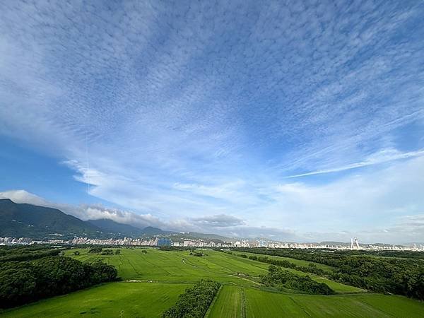 為天地寫日記(2024年四至六月)