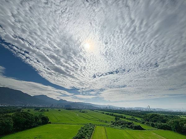 為天地寫日記(2024年四至六月)