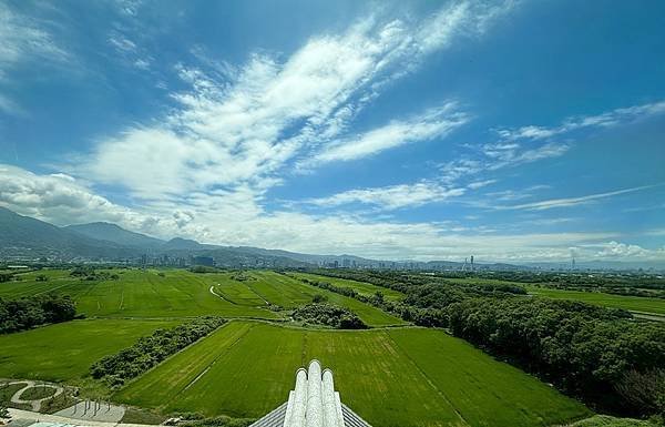 為天地寫日記(關渡平原與藥草園)(2024.05.30-20