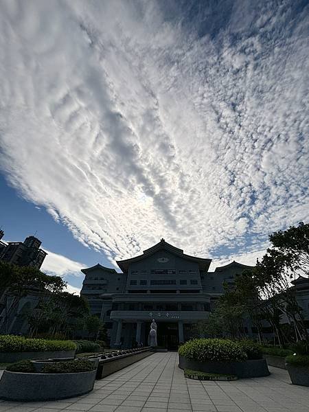 為天地寫日記(關渡平原與藥草園)(2024.05.30-20