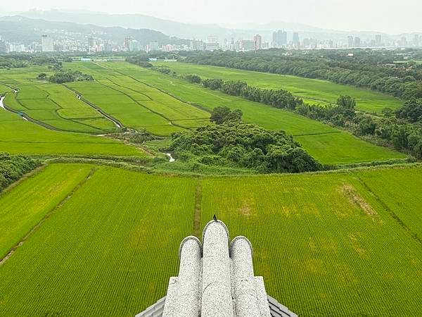 為天地寫日記(關渡平原與藥草園)(2024.05.30-20