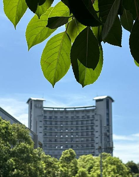 為天地寫日記(關渡平原與藥草園)(2024.05.30-20