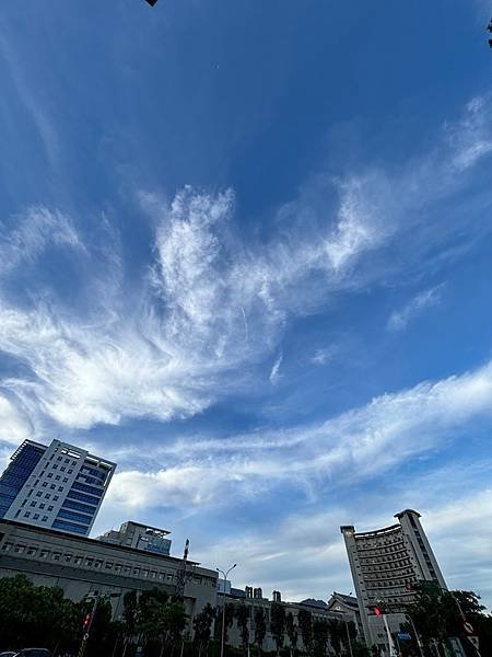 為天地寫日記(關渡平原與藥草園)(2024.05.30-20