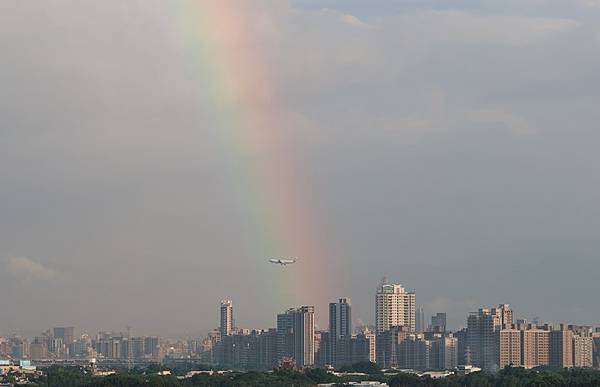 為天地寫日記(關渡照片六至八月輯錄)(2024.06.10-