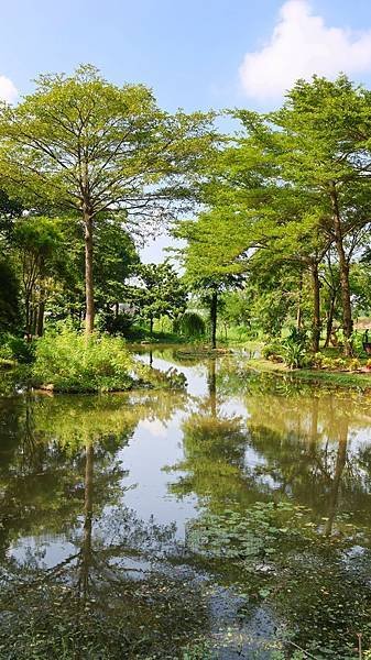 為天地寫日記(雲林慈心大自然莊園)(2024.09.13)