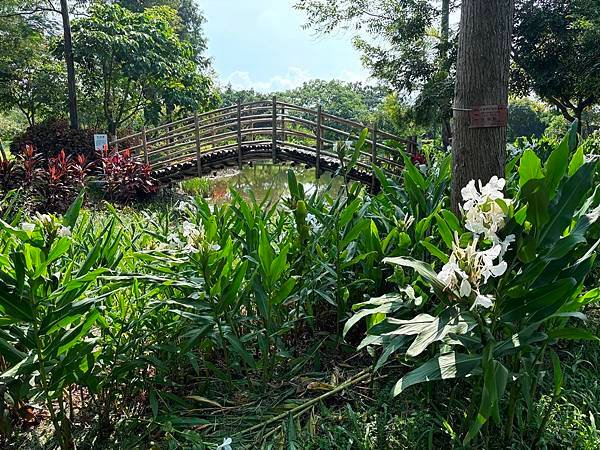 為天地寫日記(雲林慈心大自然莊園)(2024.09.13)