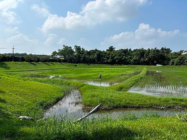 為天地寫日記(雲林慈心大自然莊園)(2024.09.13)