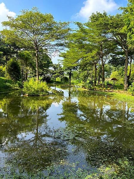 為天地寫日記(雲林慈心大自然莊園)(2024.09.13)