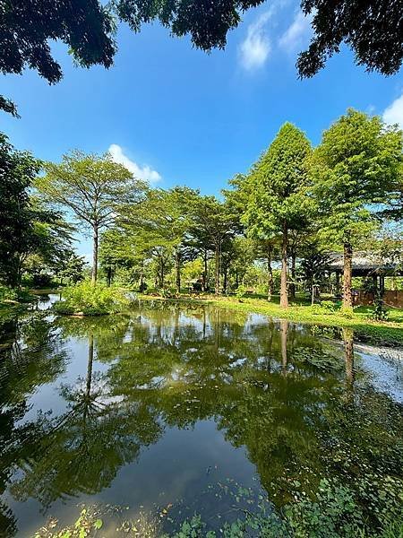 為天地寫日記(雲林慈心大自然莊園)(2024.09.13)