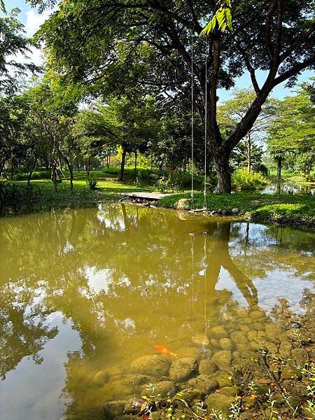 為天地寫日記(雲林慈心大自然莊園)(2024.09.13)