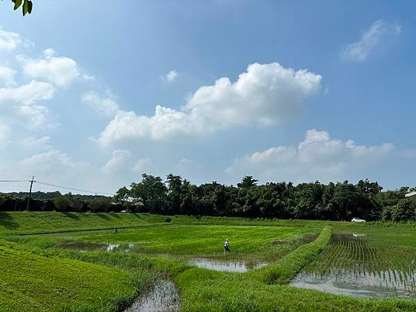 為天地寫日記(雲林慈心大自然莊園)(2024.09.13)