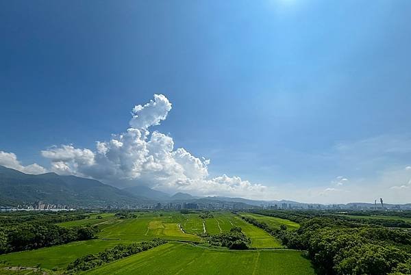 為天地寫日記(2024年三至九月輯錄)