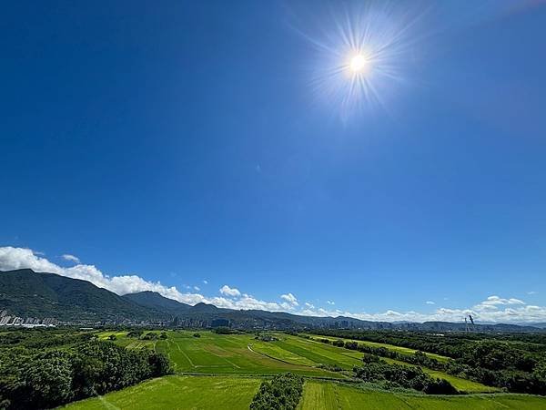 為天地寫日記(2024年三至九月輯錄)