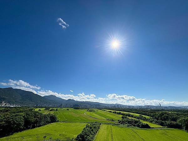 為天地寫日記(2024年三至九月輯錄)