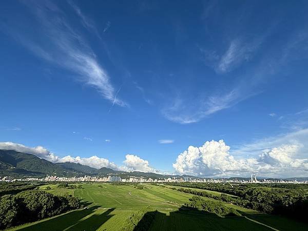 為天地寫日記(2024年三至九月輯錄)