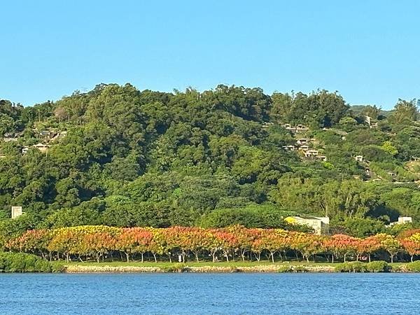 為天地寫日記(觀音山與關渡大橋清晨)(2024.10.14-