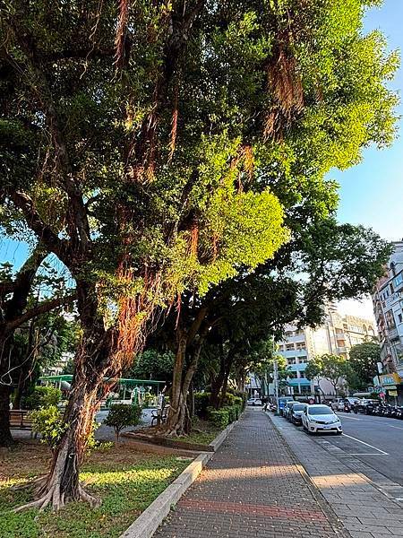 為天地寫日記(觀音山與關渡大橋清晨)(2024.10.14-