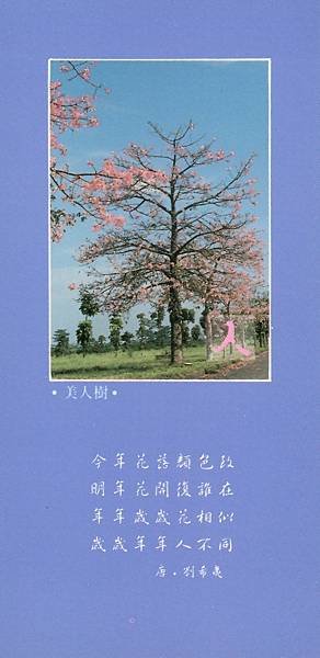 書籤 (6).jpg