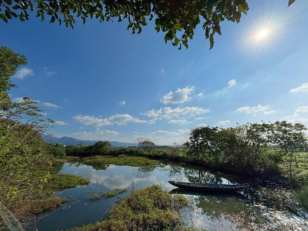 為天地寫日記(淡水夕陽與芒草)(2025.01.12)