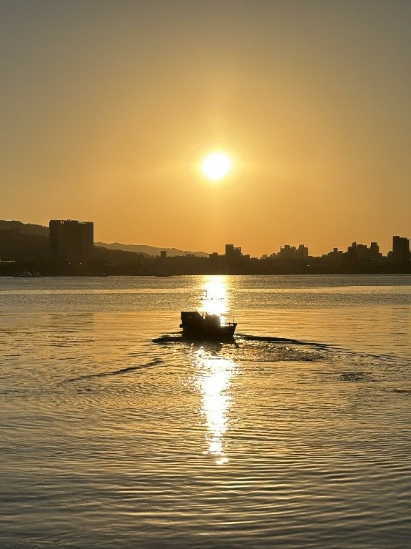 為天地寫日記(淡水夕陽與芒草)(2025.01.12)