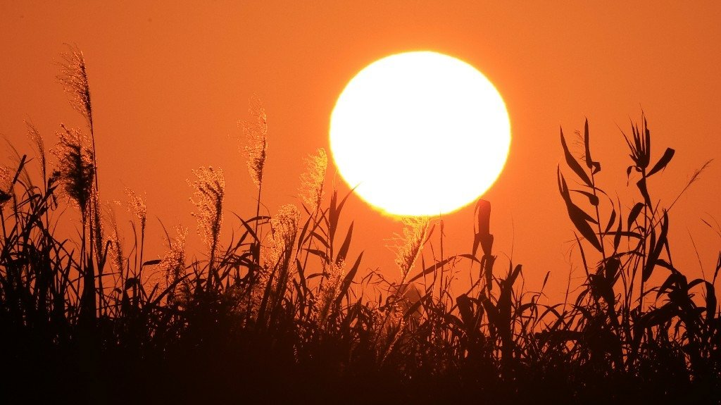 為天地寫日記(淡水夕陽與芒草)(2025.01.12)