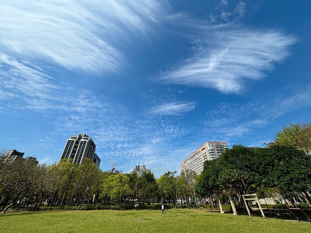 為天地寫日記(台北特別的雲)(2025.03.01)