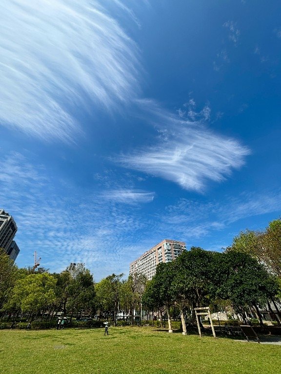 為天地寫日記(台北特別的雲)(2025.03.01)