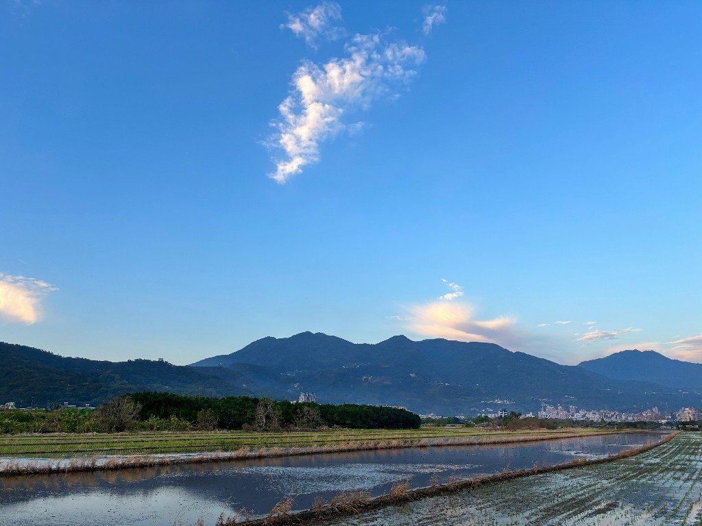 為天地寫日記(關渡平原與靜思堂夕陽、卷積雲)(2025.03